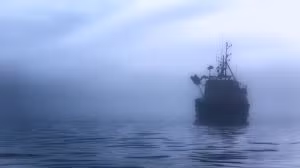 Về sau, lực lượng chức năng tiến hành tìm kiếm xác tàu và thi thể các nạn nhân nhưng không có kết quả.