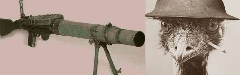 Lịch sử ghi nhận một cuộc chiến kỳ lạ xảy ra với các bên tham chiến không phải đều là con người. Cụ thể, cuộc chiến kỳ quái trên xảy ra vào năm 1932 tại Australia.