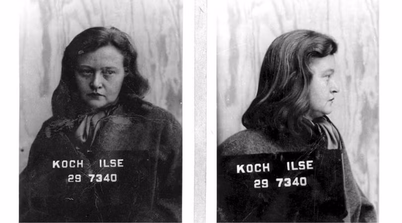 Ilse Koch sử dụng việc xăm mình để phân loại tù nhân trong trại Buchenwald. Sau khi vết xăm liền sẹo và lên màu, Ilse Koch kiểm tra xem "sản phẩm" có đẹp hay không.