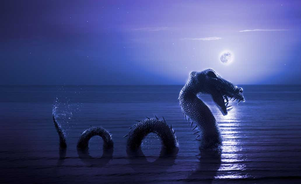 Nó thường chỉ nhô phần đầu hoặc đuôi lên khỏi mặt hồ Brocno. Căn cứ vào hình dáng của con quái vật, một số nhân chứng mô tả nó có hình dáng giống loài rồng.