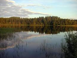 Trong những năm qua, không ít chuyên gia không ngừng tìm kiếm dấu vết của quái vật bí ẩn ẩn náu dưới hồ Brocno.