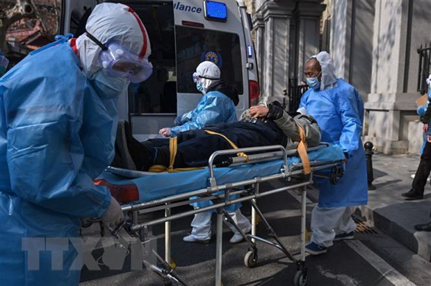 Vien Pasteur Paris nuoi cay thanh cong cac chung virus corona moi