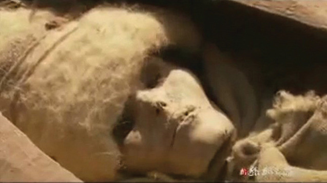 Mỹ nhân qua đời cách đây khoảng 4.000 năm đội chiếc mũ đặc biệt cao hình tháp nhọn màu trắng. Chân của xác ướp có đi một đôi giày lót lông cổ cao.