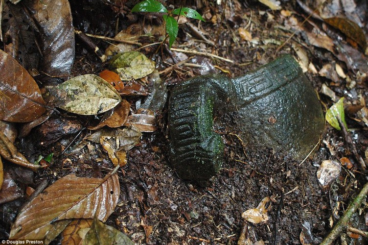 Niềm vui vì tìm thấy "Thành phố của Thần Khỉ" chưa được bao lâu thì các chuyên gia phát hiện nơi này tồn tại một loại dịch bệnh ăn thịt người vô cùng đáng sợ.