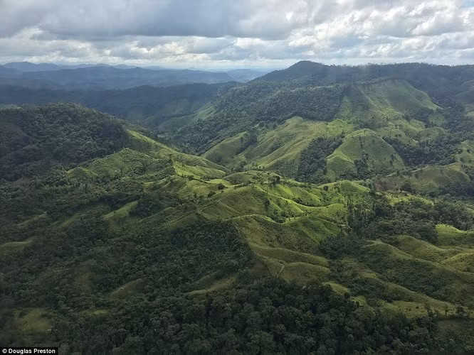 Mucocutaneous leishmaniasis do loài ruồi cát lây lan và không có cách phòng, chống.