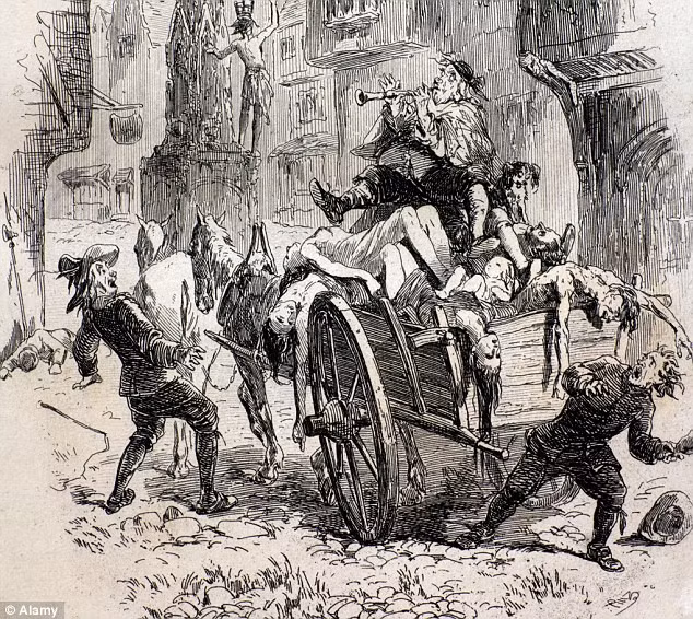 Bệnh dịch hạch bùng phát và lan rộng một cách nhanh chóng được cho là do những con bọ chét sống trên cơ thể chuột đen (rattus rattus).