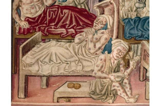 Theo các chuyên gia, tổng cộng căn bệnh dịch hạch nguy hiểm đã khiến khoảng 75 - 200 triệu người thiệt mạng trong suốt chiều dài lịch sử.