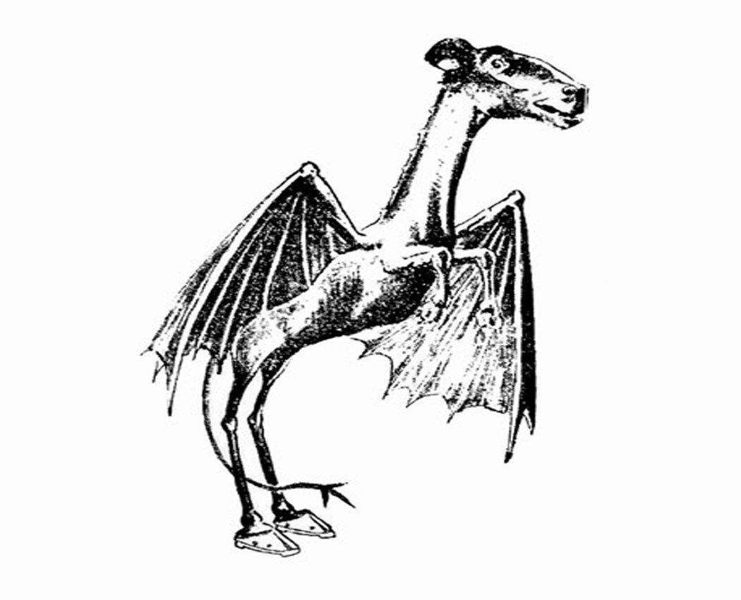 Vì vậy, đến nay, sự tồn tại của quái vật Jersey Devil vẫn là bí ẩn lớn chưa có lời giải.