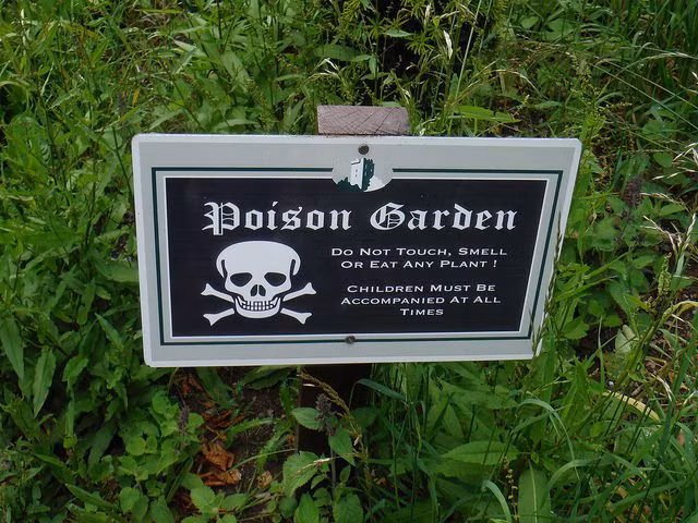 Khu vườn Độc dược mở cửa đón khách từ năm 2005. Người tạo ra khu vườn độc đáo này là Nữ công tước xứ Northumberland.