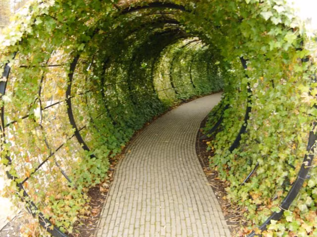 Sau khi trở về từ chuyến đi trên, Nữ công tước xứ Northumberland có suy nghĩ rằng, thế giới có nhiều khu vườn trồng các loại cây có tác dụng chữa bệnh nhưng không có vườn nào trồng các loại cây độc để nghiên cứu.