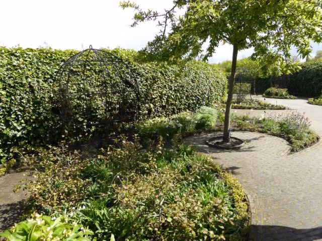 Vì vậy, du khách khi đến khu vườn Độc được cảnh báo không nên chạm vào bất cứ cây nào vì có thể đe dọa đến an toàn tính mạng.