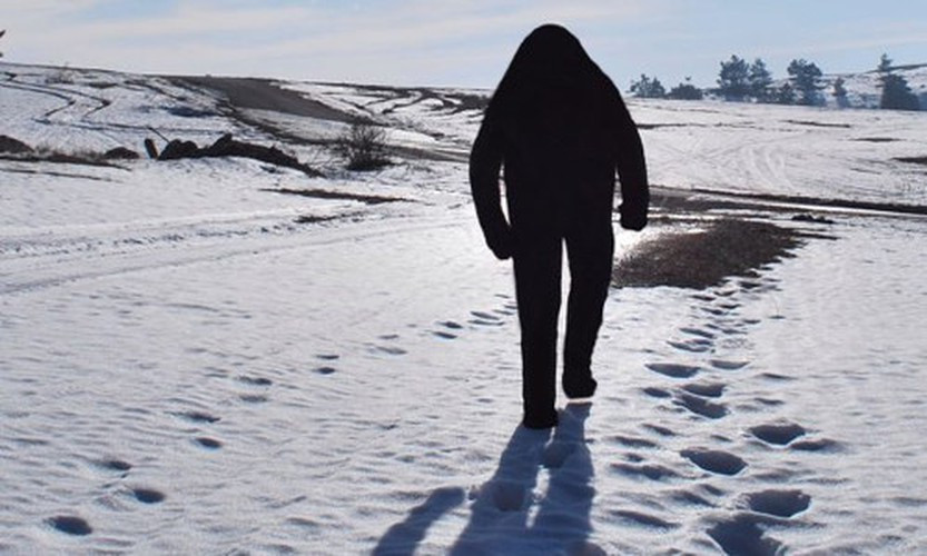 Trong đó, đáng chú ý nhất là việc người ta cho rằng, người tuyết Yeti ẩn náu tại khu vực vùng núi Everest khắc nghiệt.