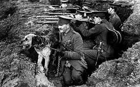 Bên cạnh chim bồ câu, chó được sử dụng để đưa thư trong quân đội một số nước.