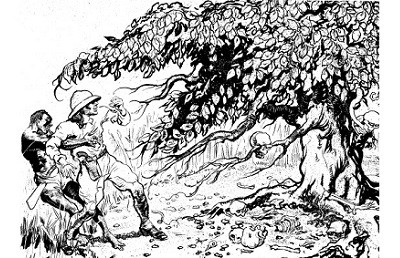 Theo một số tài liệu, vào năm 1878, một số cường quốc thực dân cử nhiều chuyên gia, nhà khoa học khám phá khu rừng bí ẩn trên. Tiến sĩ người Đức Cark Liche dẫn đầu một nhóm chuyên gia tham gia dự án trên.