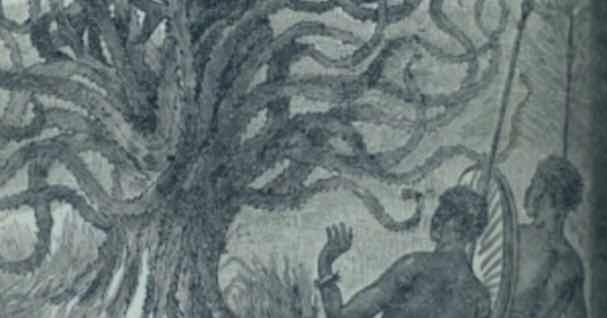 Khi ông Liche đang nói chuyện với đồng nghiệp thì bất ngờ nhìn thấy nhóm người Mkodo đưa một phụ nữ đến gần cái cây kỳ bí trên.