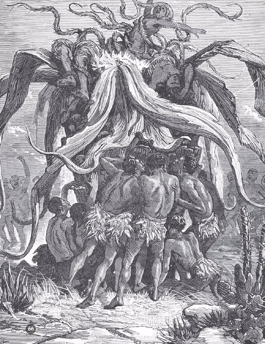 Khi vào sâu trong rừng, nhóm của tiến sĩ Liche nhìn thấy một cái cây kỳ lạ trông giống như cây dứa. Cây này cao khoảng 2,5m có lá dài, rậm rủ từ trên đỉnh xuống đất.