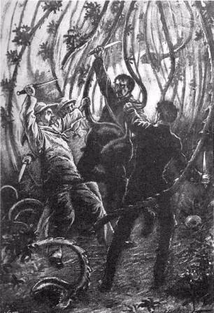 Không những vậy, loài cây kỳ quái này còn có các tua dài khoảng hơn 2m đua ra các hướng khác nhau.