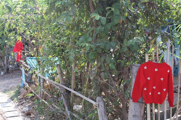 Ngoi lang nha nao cung treo ao do o cong va su that dang so phia sau-Hinh-2