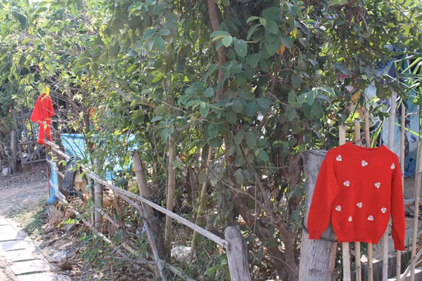 Ngoi lang nha nao cung treo ao do o cong va su that dang so phia sau-Hinh-2