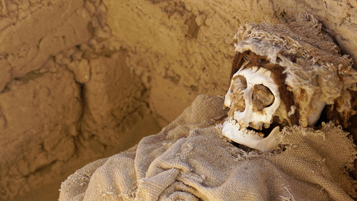 Những bộ hài cốt được đặt trong hố và ở tư thế ngồi dựa lưng. Sau nhiều năm được tìm thấy, giới chuyên gia vẫn chưa thể lý giải "nụ cười" bí ẩn của những bộ hài cốt này.