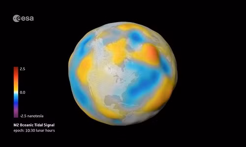Bản đồ số hiển thị các tín hiệu từ được tạo bởi các đại dương trên trái đất. Ảnh: ESA/Planetary Visions