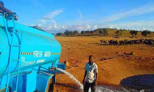 Anh Patrick không quản vất vả, ngày ngày mang nước tới đây đổ xuống đất.