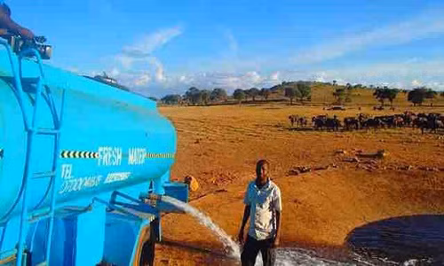Anh Patrick không quản vất vả, ngày ngày mang nước tới đây đổ xuống đất.