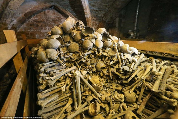 Thế nhưng, đằng sau ngăn tủ xương sọ là rất nhiều các mảnh xương từ các bộ phận khác, xếp chồng chất lên nhau. Ảnh: REX