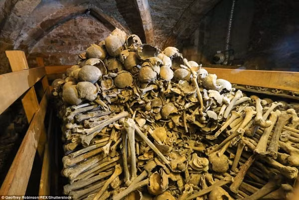 Thế nhưng, đằng sau ngăn tủ xương sọ là rất nhiều các mảnh xương từ các bộ phận khác, xếp chồng chất lên nhau. Ảnh: REX