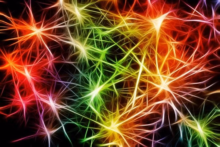 Các tế bào trong não có mật độ cao. Trung bình, bộ não phụ nữ nhỏ hơn nam giới 9%. Nhưng điều này không ảnh hưởng đến khả năng nhận thức vì số lượng tế bào là như nhau và chúng có mật độ cao.