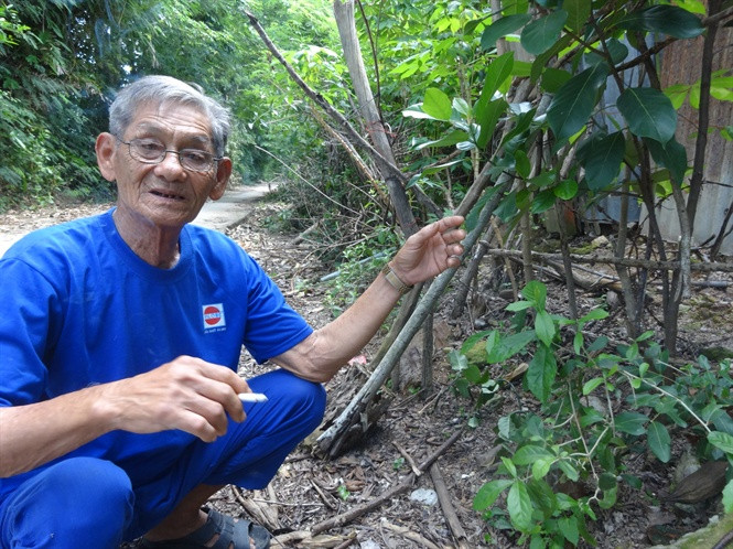 Ông Lâm Văn Hai từng là một “sát thủ” bò biển cách đây gần 30 năm