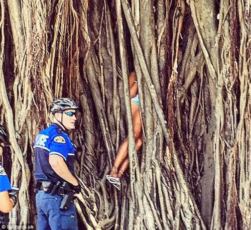 Người phụ nữ mắc kẹt trong đám rễ cây cổ thụ.