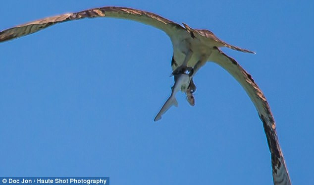 “Tu than” tu tren troi sa xuong, doat mang ca map ngoan muc-Hinh-2