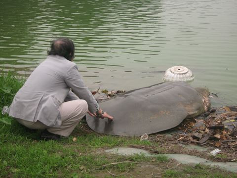 PGS-TS Hà Đình Đức và "cụ rùa"