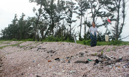 Con đường ốc viết này có thể nhìn được từ vệ tinh là một dải màu trắng ngà, đủ thấy nó dày đặc và to lớn nhường nào.