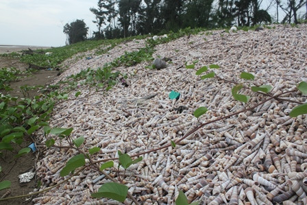 Người ta ví von những nơi này là “Con đường bằng vỏ ốc viết dài nhất Việt Nam”, “Bờ bao ven biển bằng vỏ ốc viết lớn nhất Việt Nam”... bởi vào mùa gió chướng mỗi năm, bờ biển lại được phủ kín bởi hàng triệu con ốc viết bị sóng đánh dạt vào bờ. Có nơi kéo dài tới 7km.