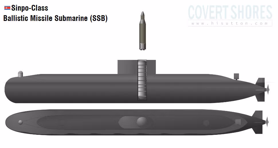 Với kích cỡ nhỏ như vậy thì tàu ngầm Sinpo khó có thể triển khai được các bệ phóng thẳng đứng dọc thân tàu như thiết kế của Mỹ-Nga. Chính vì vậy, theo các chuyên gia họ đã giải quyết vấn đề này bằng phương án lắp bệ phóng thẳng đứng ngay trong thượng tầng của tàu. Tuy chỉ triển khai 1-2 quả tên lửa nhưng thế là cũng đủ để Triều Tiên tạo nên mối đe dọa lớn với Mỹ - Hàn – Nhật Bản.