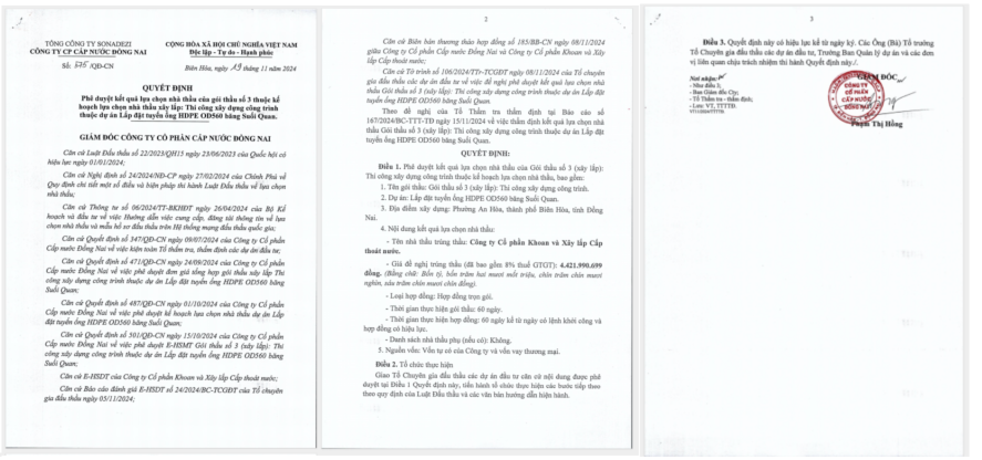 Trong vong 10 ngay, 2 goi thau tien ty cua cap nuoc Dong Nai ve tay Viwaseen11-Hinh-2