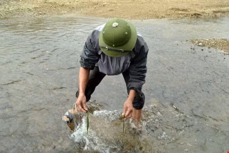 Su that qua bat ngo ve thuc pham tuong do bo di-Hinh-2