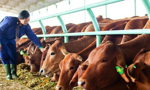 3 thang, no cong ty bau Duc tang them 1.500 ty dong