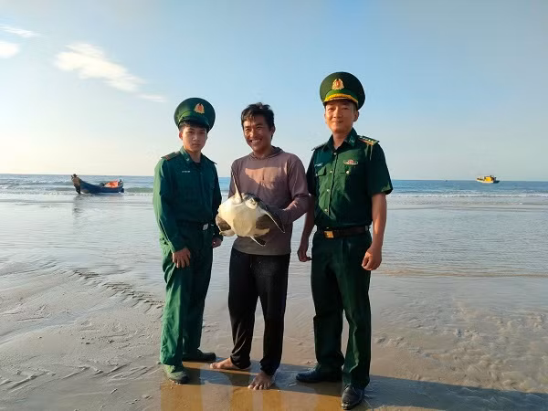 Thả cá thể đồi mồi quý hiếm hơn 6kg về biển Tha ca the doi moi quy hiem hon 6kg ve bien