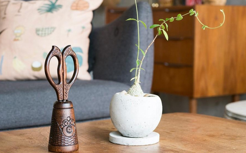 Cặp vợ chồng luôn hài lòng khi sống trong căn nhà 30m2 - Hình 6 Cap vo chong luon hai long khi song trong can nha 30m2-Hinh-6