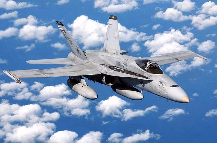 Theo tờ Washington Times, thì loại máy bay Mỹ hạ cánh xuống sân bay Đài Loan là kiểu tiêm kích hạm F/A-18C Hornet thuộc Phi đội tiêm kích Thủy quân Lục chiến 323 (VMFA-323) đặt căn cứ tại sân bay Kadena, Nhật Bản. Hai chiếc máy bay F/A-18C gặp sự cố khi đang thực hiện chuyến bay huấn luyện thường xuyên.