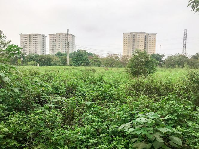 Ben trong KDT Viet Hung Tong HUD xin lui them 15 nam de hoan thanh-Hinh-7