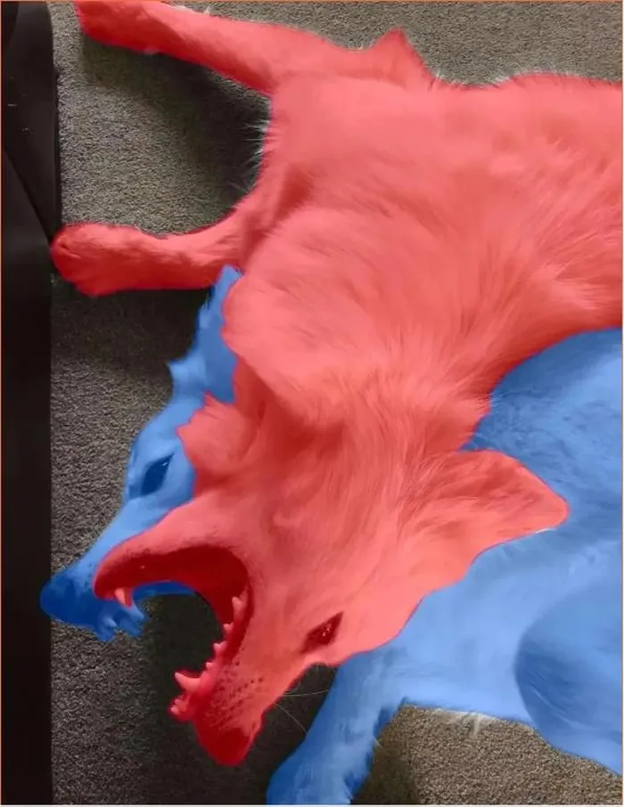 Bức ảnh ghi lại hình ảnh một con vật có hai đầu đang nằm và nhe răng nanh. Dân mạng được kích thích bởi sự kỳ lạ của hình ảnh và chia sẻ nó mạnh mẽ trên các diễn đàn và trang cá nhân.