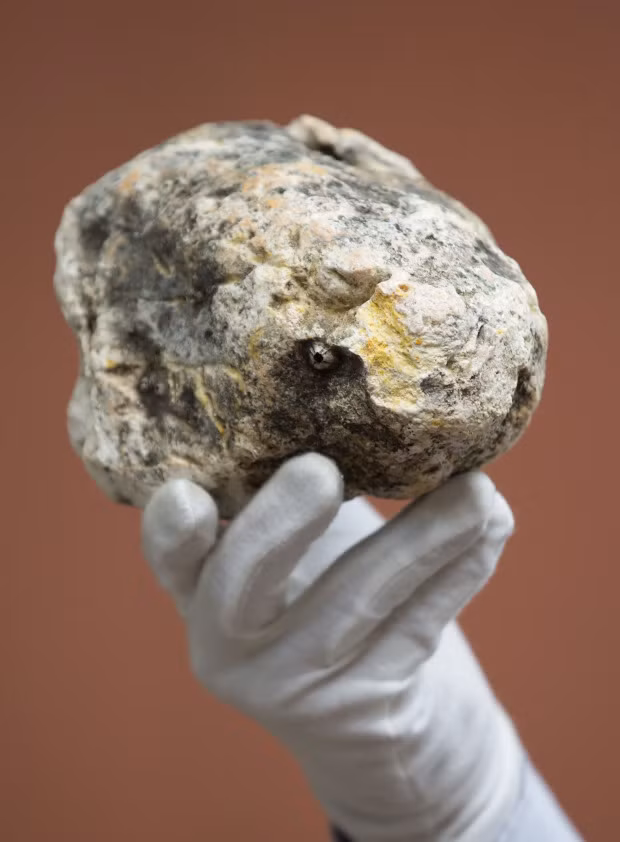 Sau đó, long diên hương được thải ra ngoài bằng cách nôn hoặc bài tiết sau khi cá nhà táng chết và xác bị phân hủy.