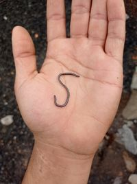 Rắn giun được tìm thấy rộng rãi tại nhiều nơi trên thế giới, từ các vùng cận nhiệt đới như châu Phi, Trung Đông, châu Á cho đến khu vực ôn hòa như châu Âu và châu Mỹ.