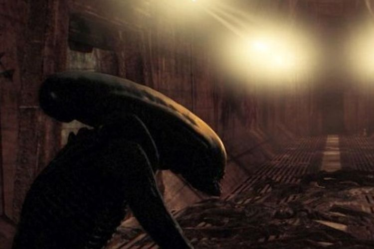 Trưởng làng đã đối mặt với một trong số chúng và miêu tả cơ thể chúng lơ lửng cách mặt đất khoảng một mét.