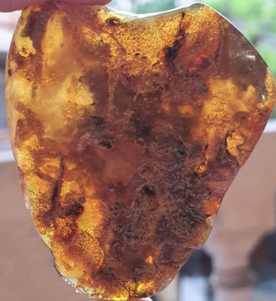 Chính quyền địa phương phải can thiệp và cấm người dân tiếp tục khai thác hổ phách để bảo vệ môi trường.