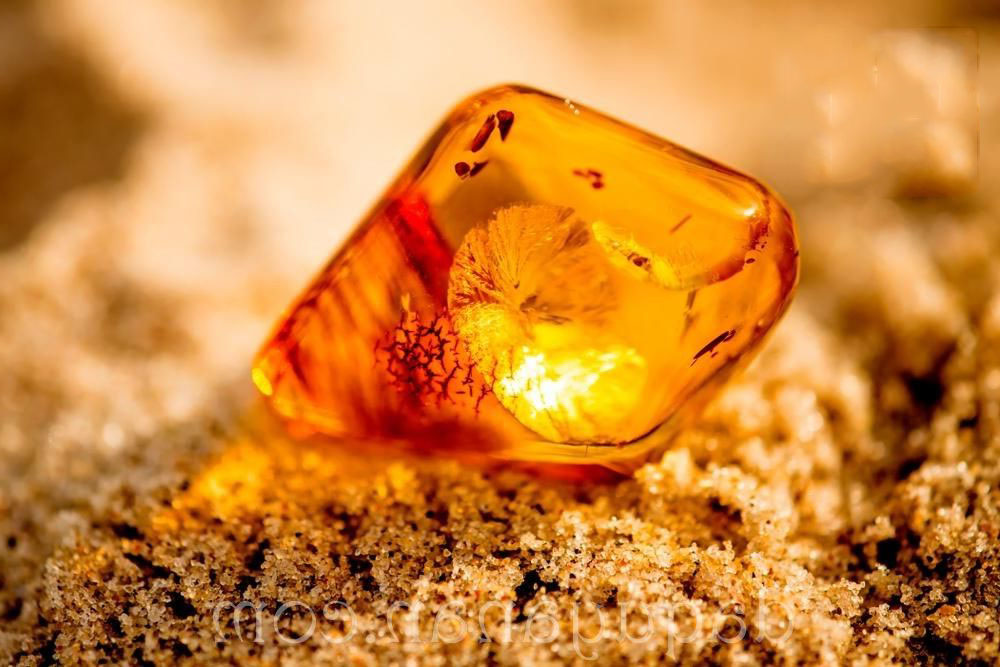 Hổ phách có nhiều màu sắc và hình dáng khác nhau, dùng làm trang sức, đồ lưu niệm và có cả tác dụng trong lĩnh vực y học. Giá trị của hổ phách không chỉ dựa vào kích thước mà còn ở màu sắc và hình dáng.